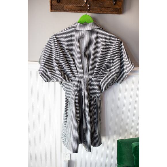 Anthropologie The Tobie Button-Front Pleated Shirt Dress Mini Edition Small - Picture 5 of 5